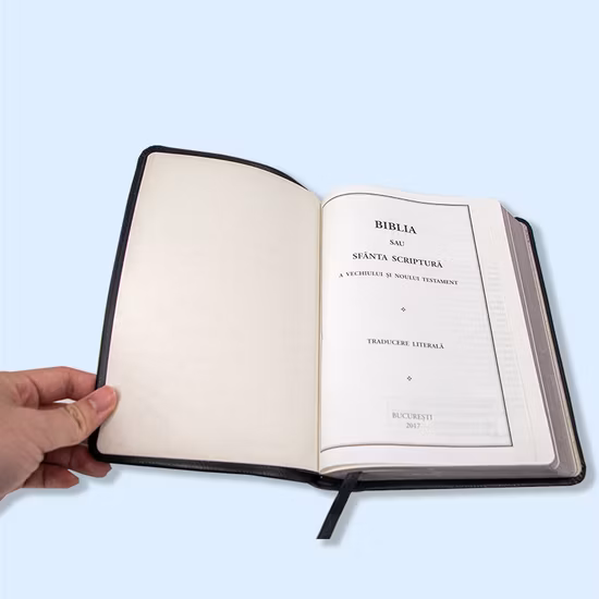 New Design Customize Logo Printing Large Plus Size Men′ S T